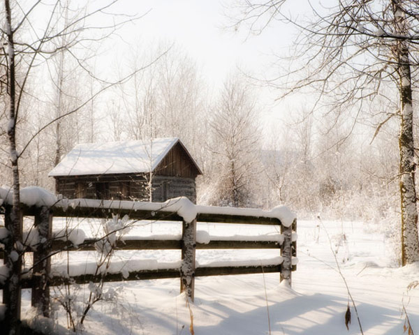 Fine Art Photography